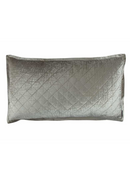 Ice Silver-1