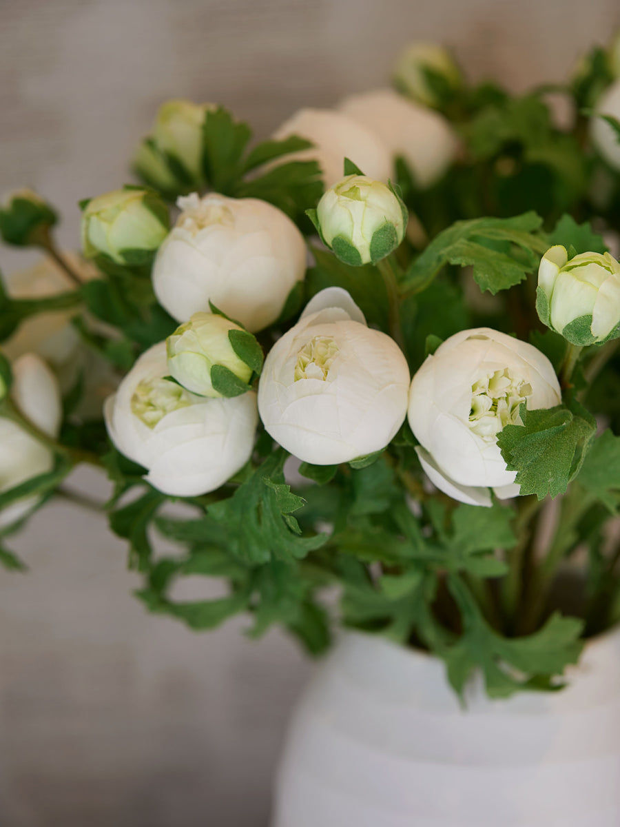 White Ranunculus Bouquet - Medium