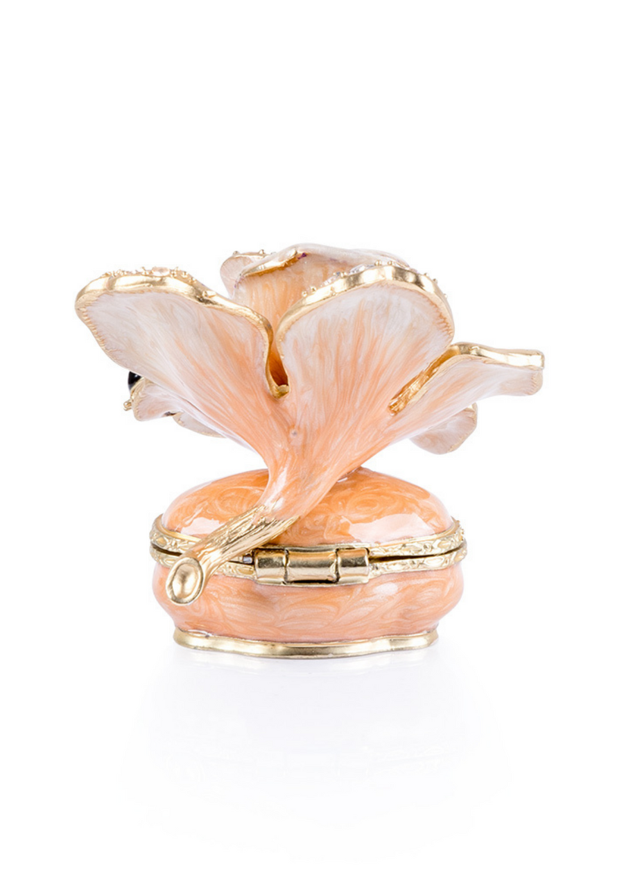 Rosalie Rose Box- Boudoir