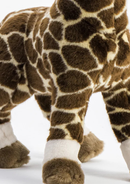 Size Medium Standing - 50 cm