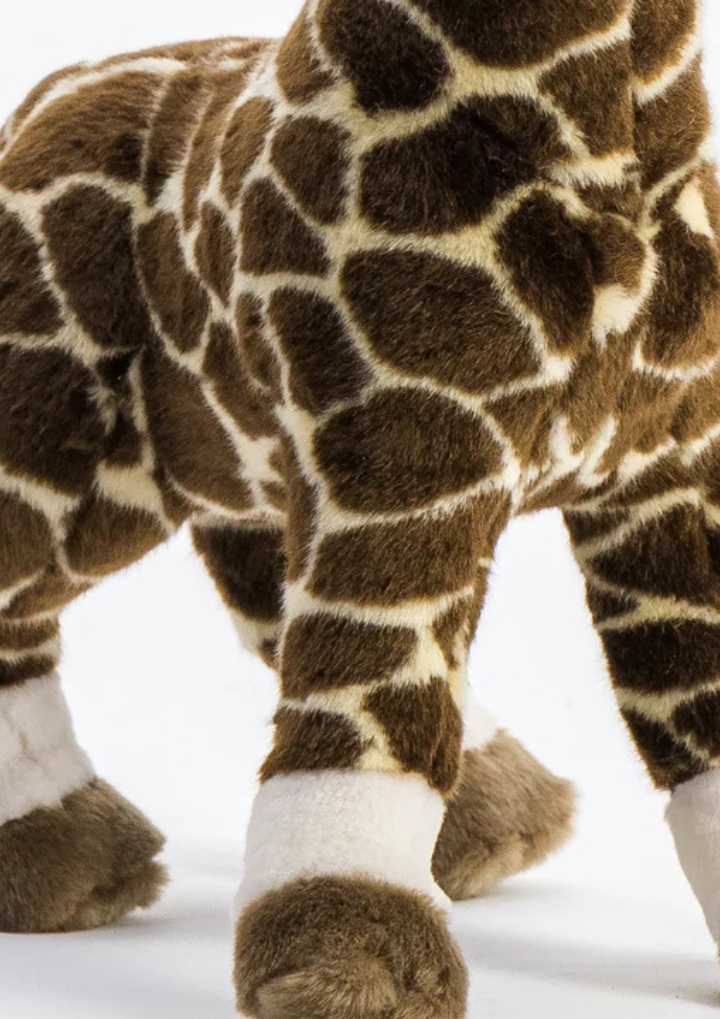 Size Medium Standing - 50 cm