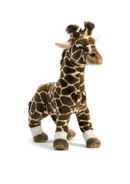 Size Medium Standing - 50 cm