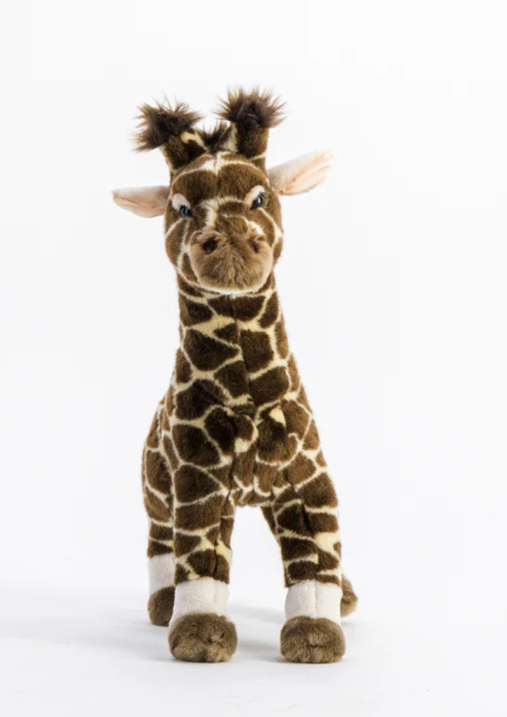 Size Medium Standing - 50 cm