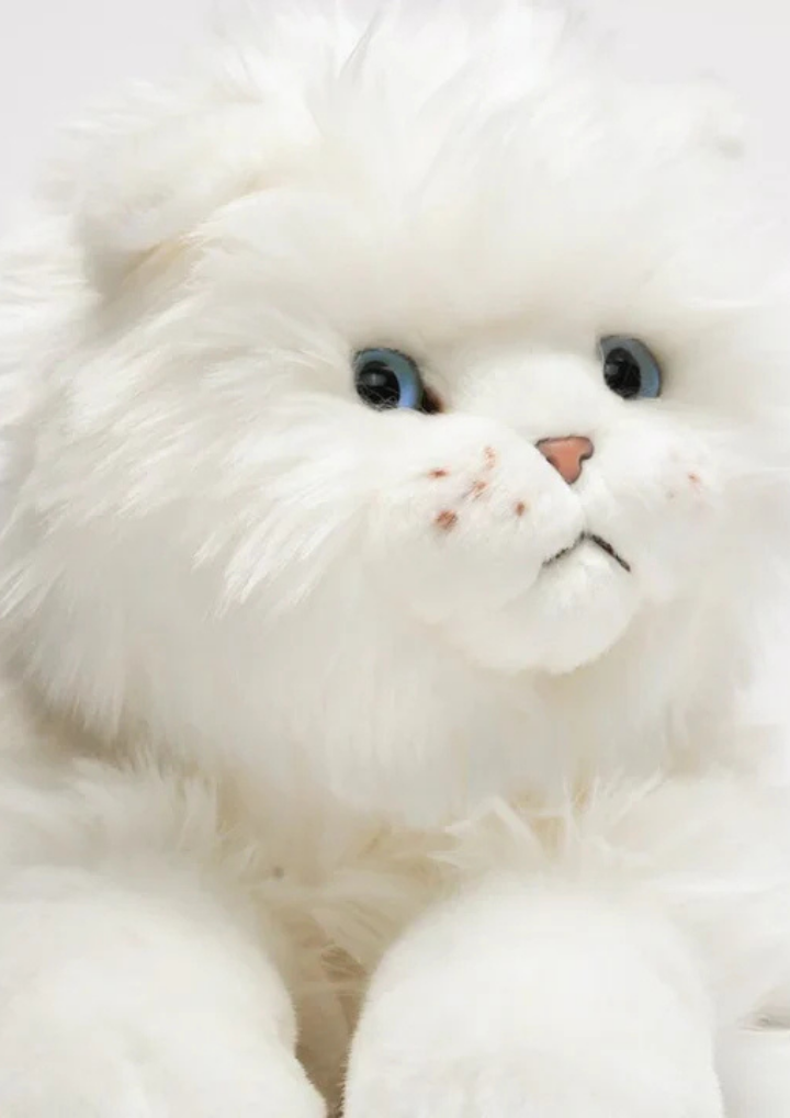 Size Medium Extended - 30 cm