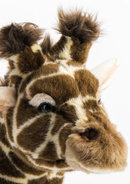 Size Medium Standing - 50 cm