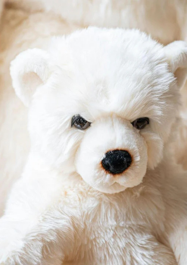 Cream Size Medium - 50 cm