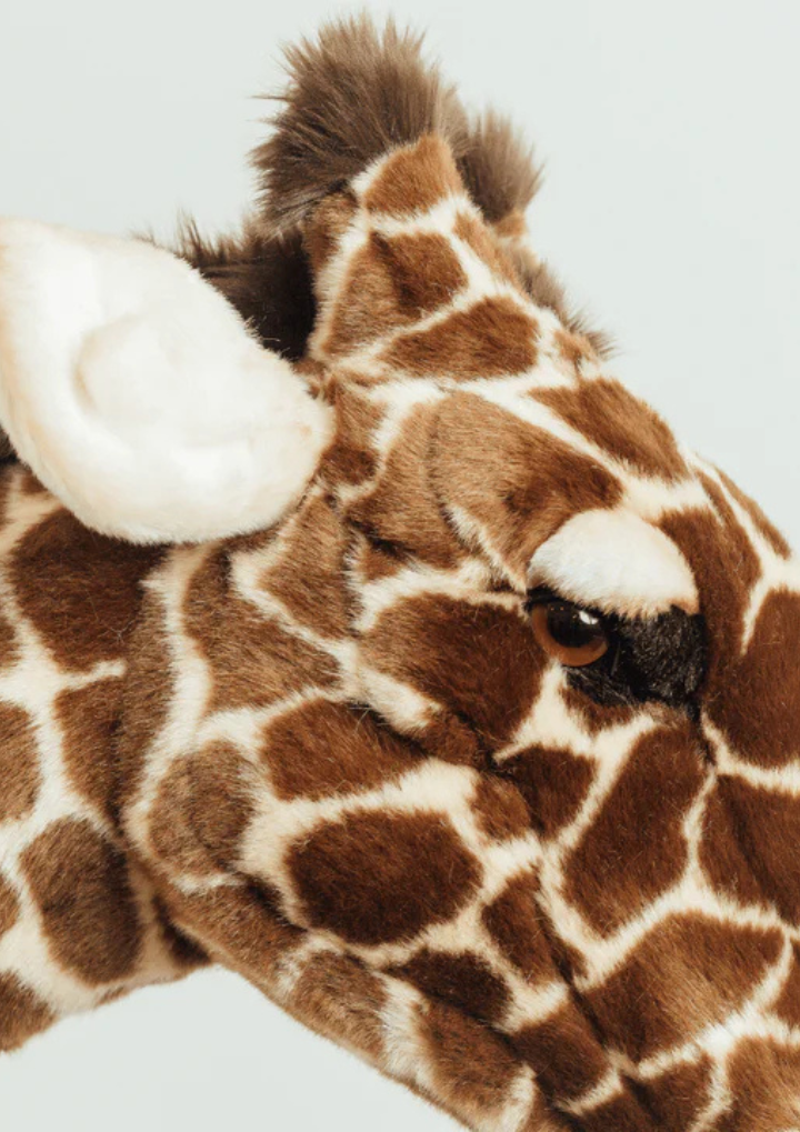 Size Very Large - 160 cm