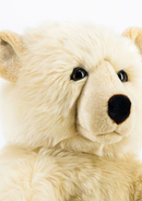 Honey Size Large - 70 cm