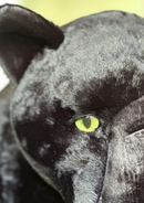 My giant Panther plush and her baby