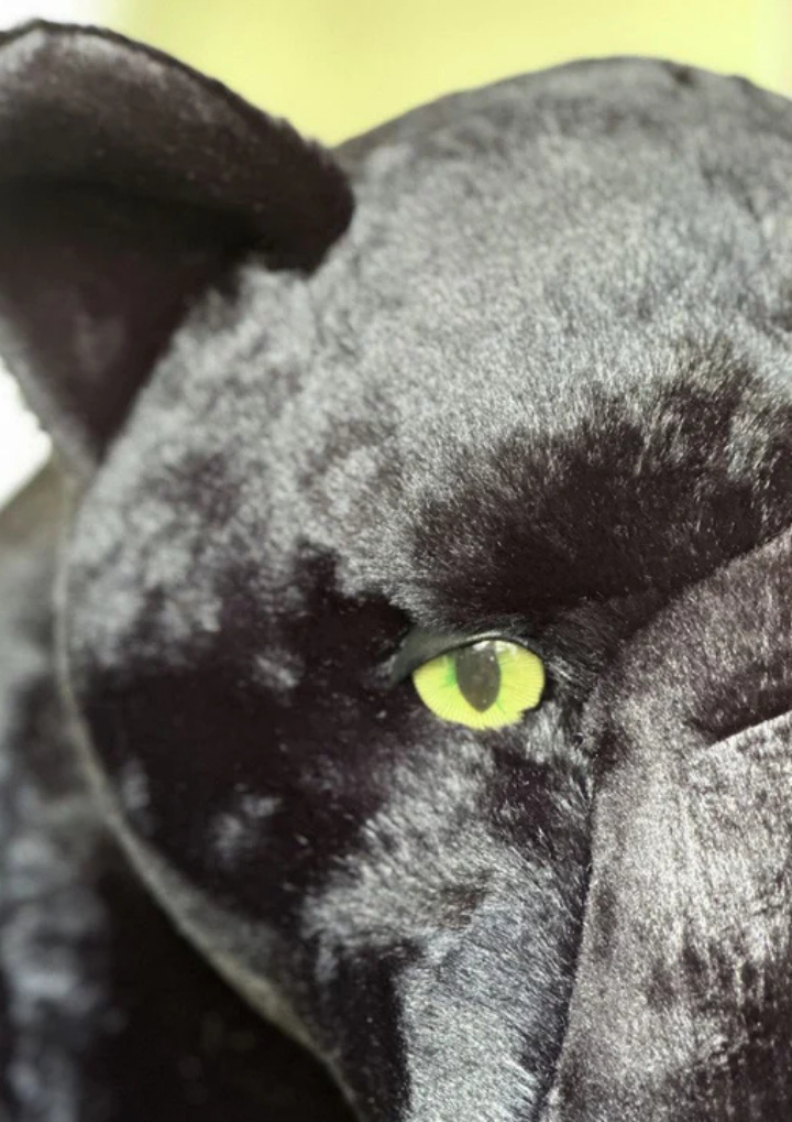 My giant Panther plush and her baby