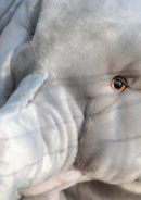 Size Very Large - 80 cm