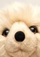 Honey Size Small - 35 cm