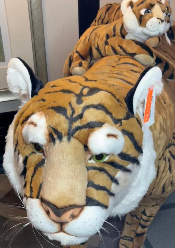 My giant tiger plush