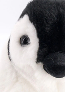 My Penguin Raymond soft toy