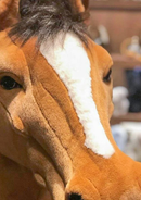 Size Very Large - 170 cm