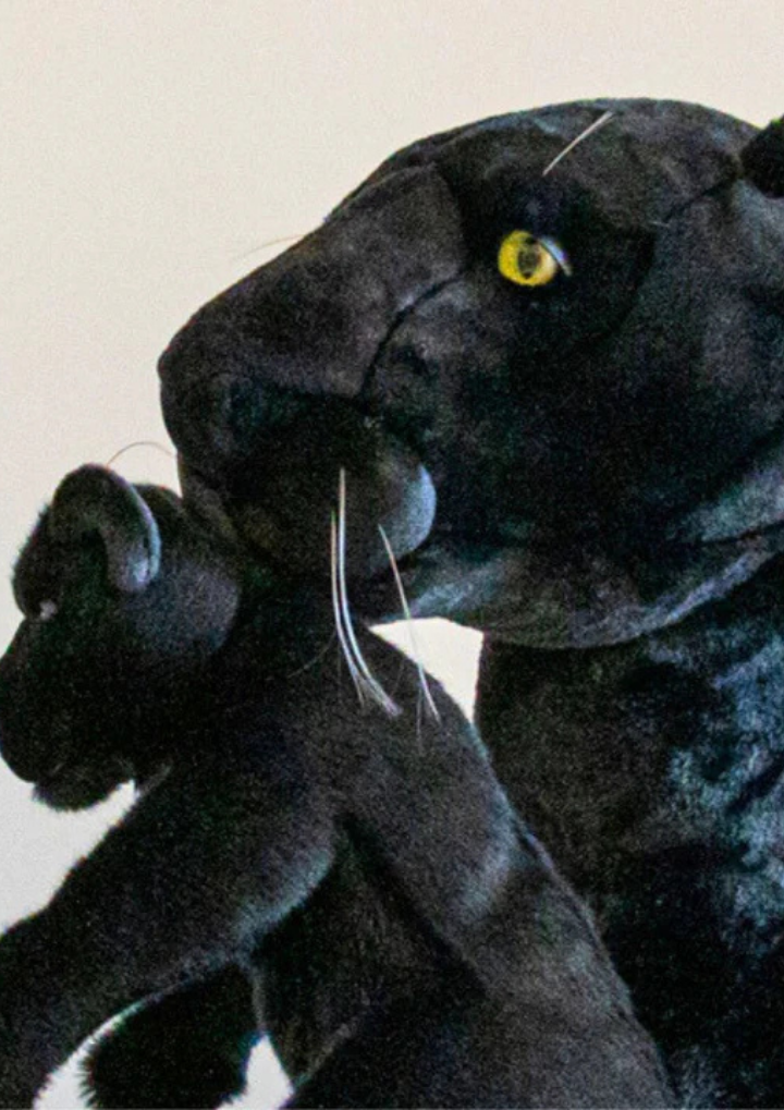 My giant Panther plush and her baby