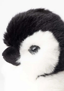 My Penguin Raymond soft toy