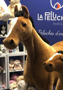 Size Very Large - 170 cm