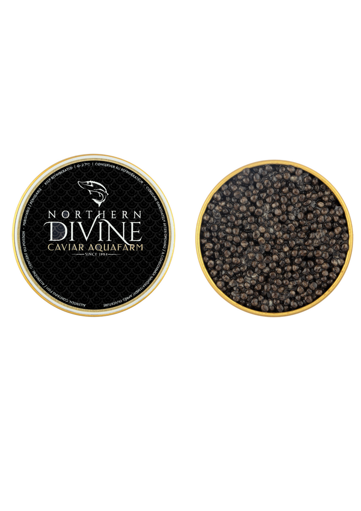Northern Divine White Sturgeon Caviar