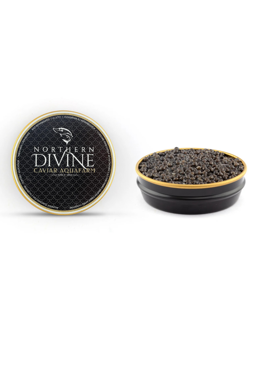 Northern Divine White Sturgeon Caviar
