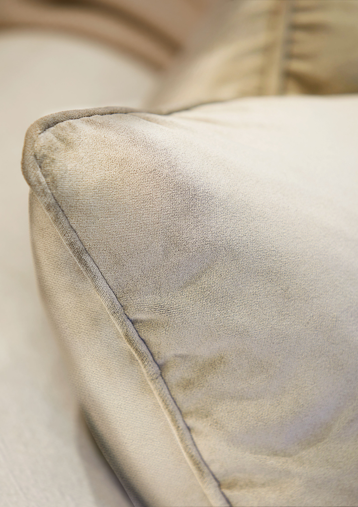 Iris Cushion