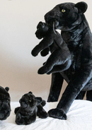 My giant Panther plush and her baby