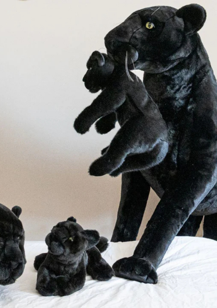 My giant Panther plush and her baby