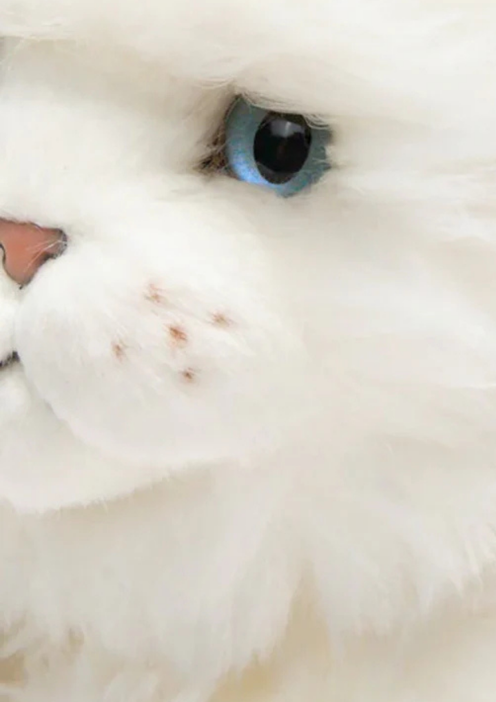 Size Medium Extended - 30 cm