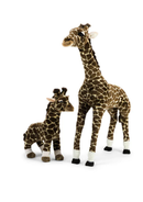 Size Medium Standing - 50 cm