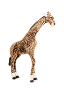 Size Very Large - 160 cm