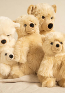 Honey Size Large - 70 cm