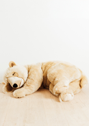 Honey Size Very Large - 250 cm