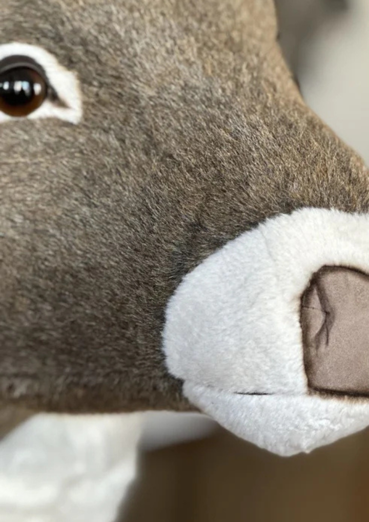 My giant Reindeer plush