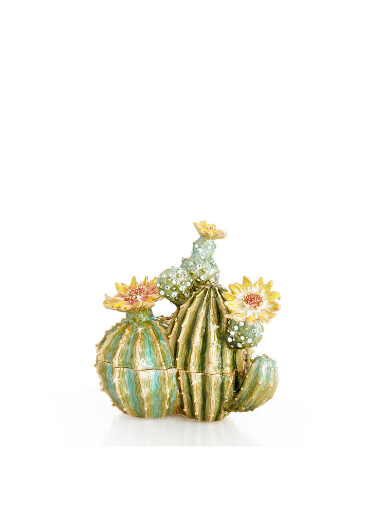 Spike Cactus Box