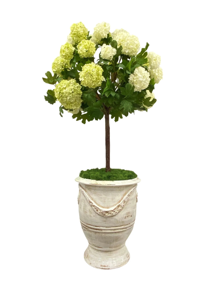 Snowball in Rutherford Planter