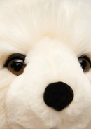 Cream-1 Size Small - 35 cm