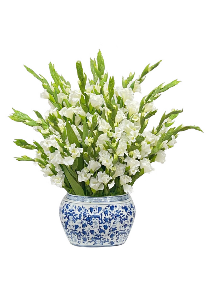 Gladiolus in Oval Planter