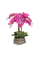 Orchid in Modern Pot 26 &#34;