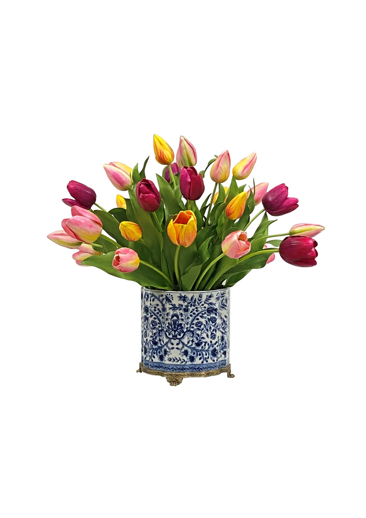 Tulip Mix in Pot 22 &#34;