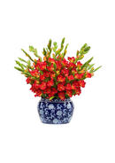 Gladiolus in Oval Planter