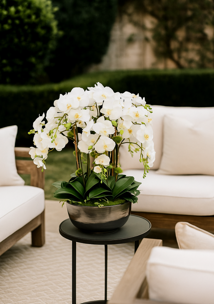 Orchid Phalaenopsis in Bowl 30 &#34;
