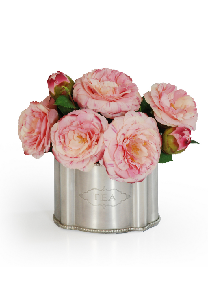 Camellia in Silver Tin