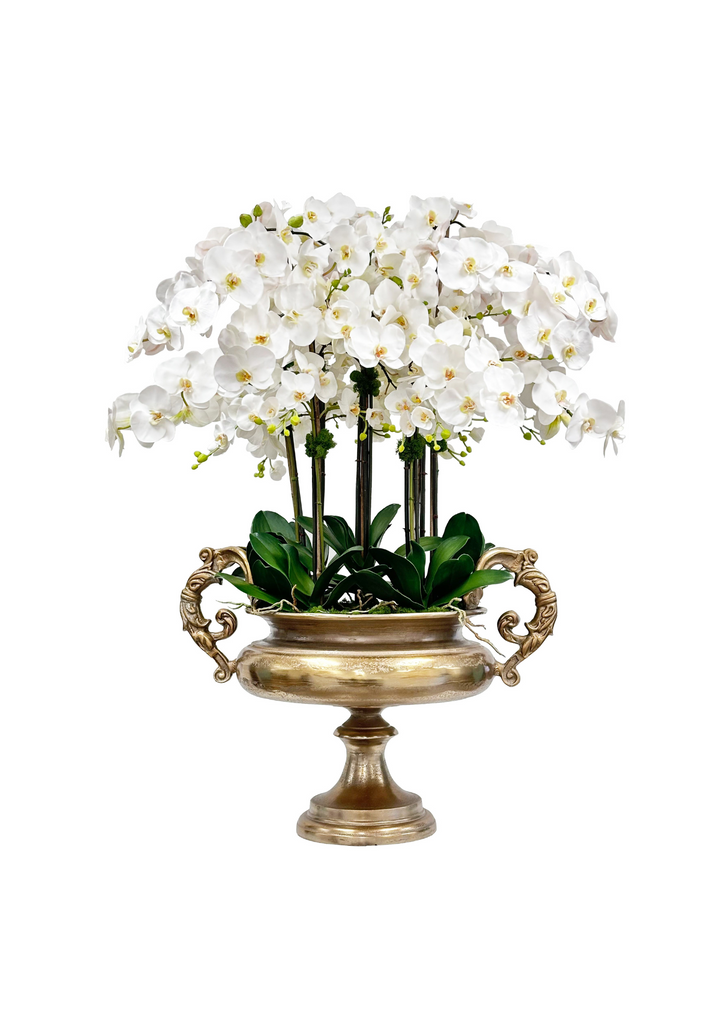Orchid Icon in Urn