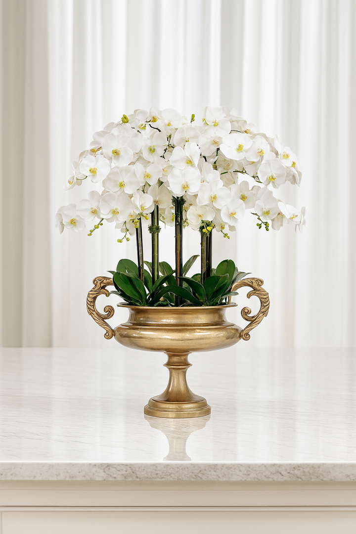 Orchid Icon in Urn